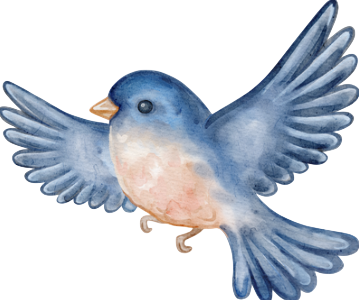 Le Petite Birdie
