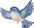 Le Petite Birdie