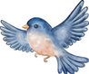 Le Petite Birdie