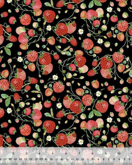 Strawberries in Black (54772d-3) | Forest Fruits | Betsy Olmsted | Windham | Sold by Half Yard