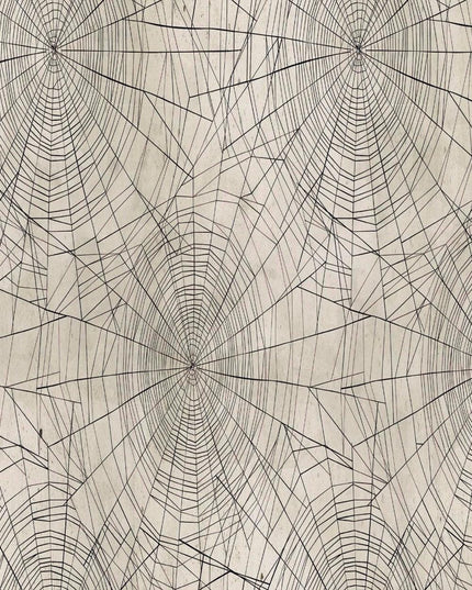 Neutral - Cobwebs- Regions Beyond Halloween Line - Tim Holtz Eclectic Elements -  2025 reorder - FreeSpirit PWTH150.neutral - Sold Half Yard