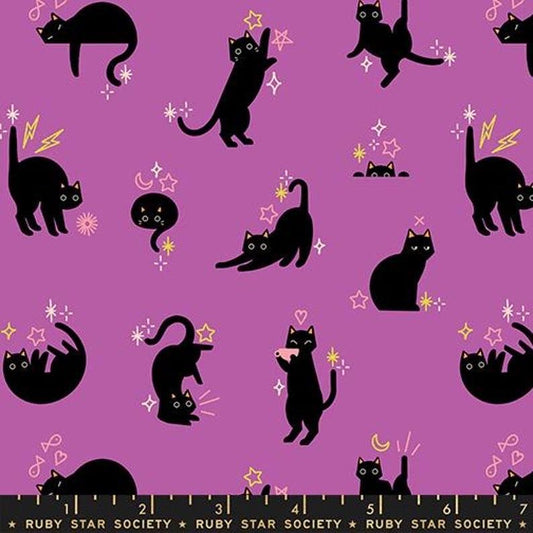 In Stock! Ruby Star Society Freaky Familiars Catwalk in Witchy RS5193 13 - Halloween Fabric Sold in Half Yard Increments, Cut Continuously